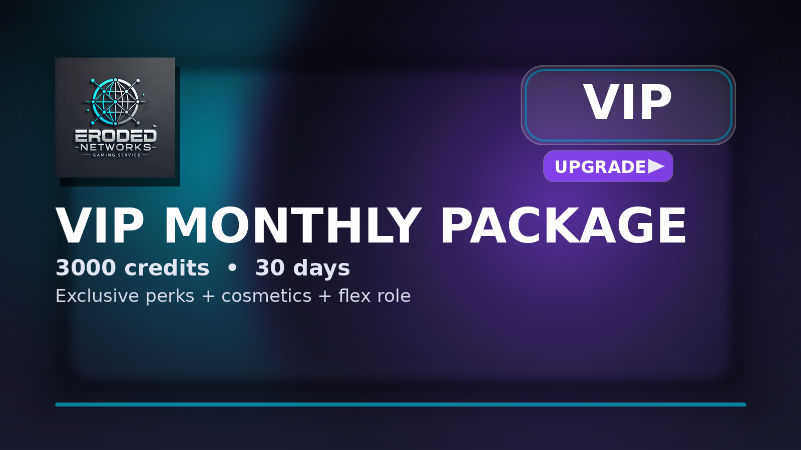 ⭐ VIP Monthly Package